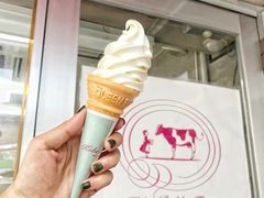 特色牛奶-神户六甲牧场(北野本店)