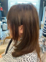 -藤野造型