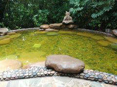 -天目湖涵田半山温泉