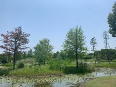 -广富林郊野公园