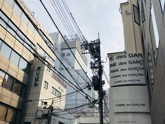 -川久保玲(大阪店)