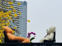 -洲头咀公园