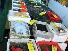-鸿达渔港