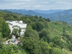 -石潭村