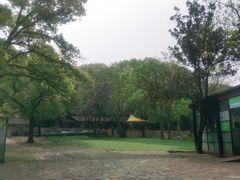 -WeLope紫金山探险公园