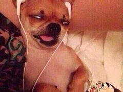 米兰洲际酒店-米兰洲际酒店