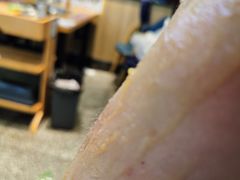 -蚝英雄鲜蚝自助专门店(长楹天街直营店)