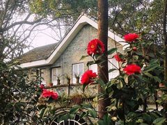 -南山植物园