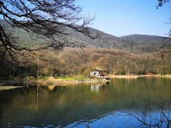 -紫霞湖公园