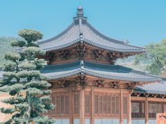 -溪口-滕头旅游景区