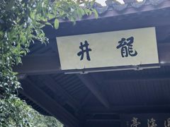 -龙井村