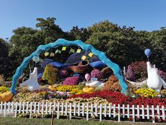 -上海共青森林公园