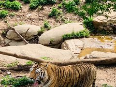 -大连森林动物园