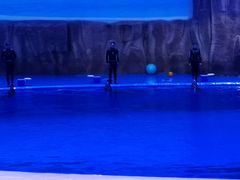 -华夏文旅海洋公园