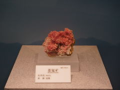 -贵州省地质博物馆