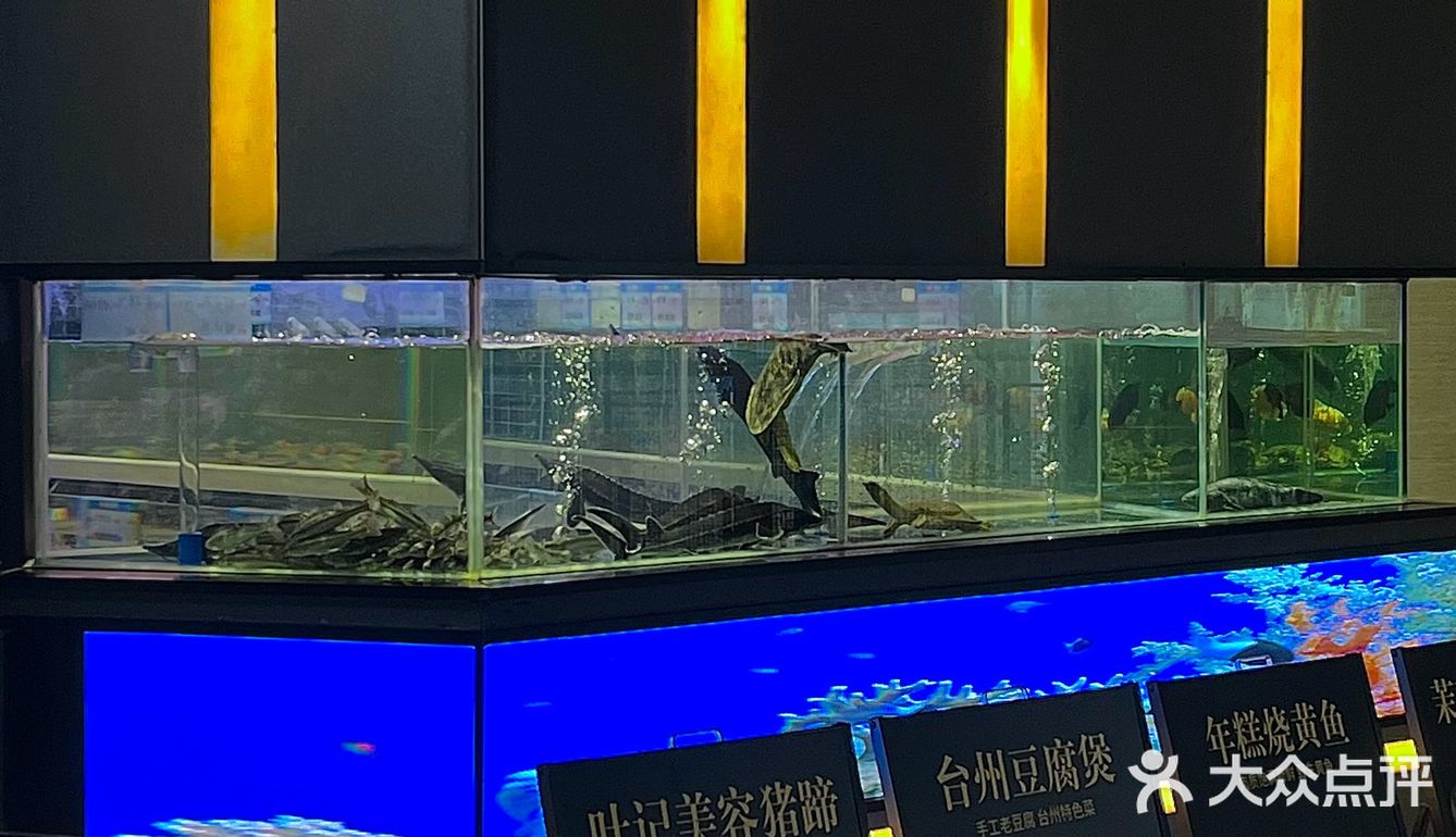 西安新开的！！替你们试过了！！！