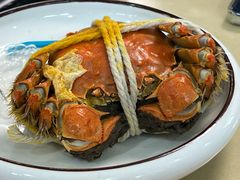 -七的湖·晚芳亭·阳澄湖农家菜·大闸蟹(莲花岛店)