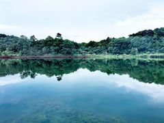 -海南热带雨林国家公园吊罗山景区