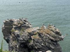 -大连金石滩滨海国家地质公园
