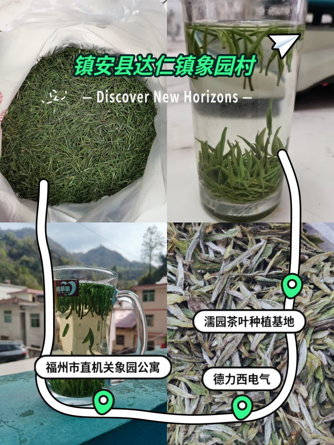 镇安县象园茶第一品牌