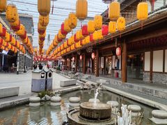 -洋湖国家湿地公园