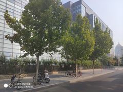 -北京晚报·北京日报社