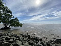 -宝安西湾红树林湿地公园