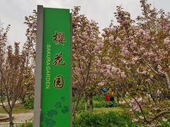 -长白岛森林公园