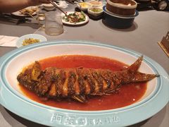 -阿五黄河大鲤鱼(英协路店)