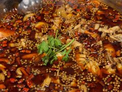 -味之绝热血美蛙鱼火锅(中坝店)