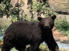 -陕西自然博物馆