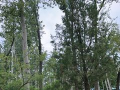 -秦皇岛野生动物园