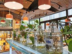 -Dough&Joe团憩(瑞虹天地月亮湾店)