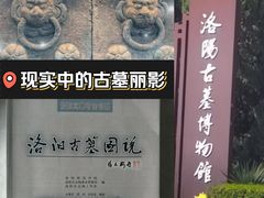 -洛阳古墓博物馆