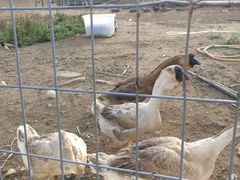 -厦门湾·白塘湾火山公园