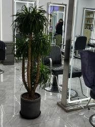 -Coo Hair salon