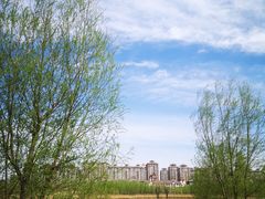 -马家湾湿地公园