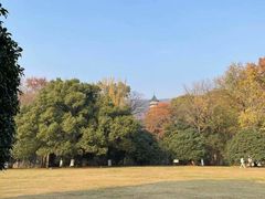 -灵谷景区