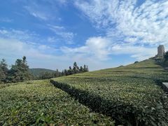 -东钱湖旅游度假区