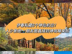 -老渔翁笨锅炖(迎宾路总店)