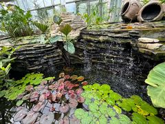 -国家植物园南园