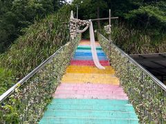 -长沙黑麋峰国家森林公园