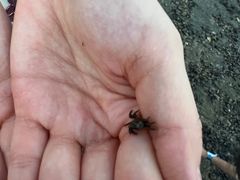 -白城沙滩