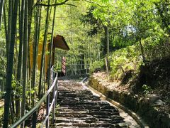 -丹山赤水风景名胜区