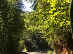 -白云源风景区