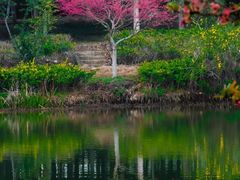 -武汉紫薇都市田园