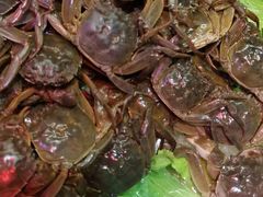 -烤圣自助美食音乐餐厅