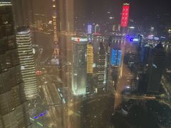 -上海柏悦酒店