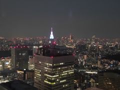 -东京都厅舍