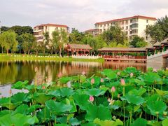 -西海子公园